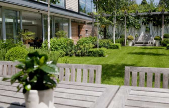 viveros en san pedro