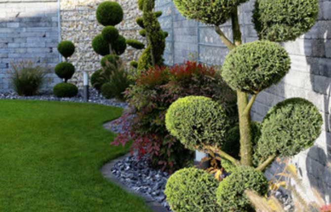 viveros en guadalupe